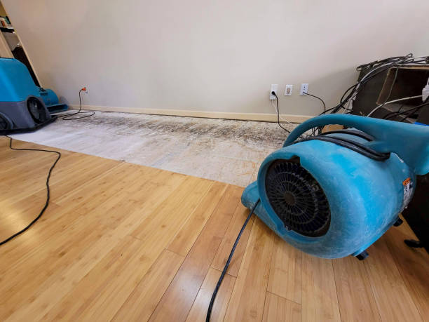 Professional Water Damage Repair technician working in Merritt, NC